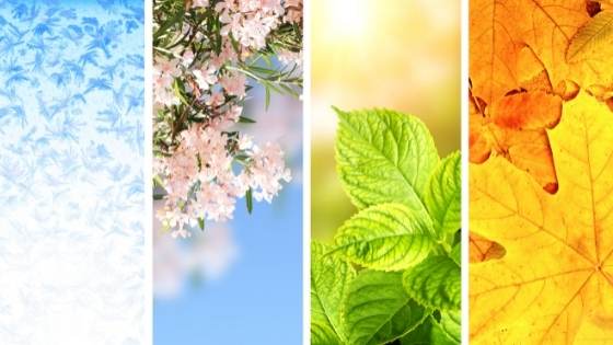 Waiting for the right time to sell your home? Here's how you can decide seasonally when it's best to list.