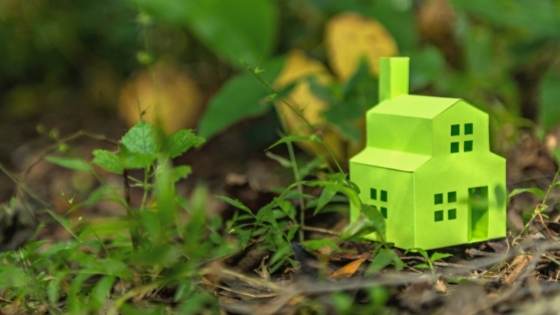 Green living doesn't always mean a costly investment. Here are some green home options you may be able to fit into your budget.