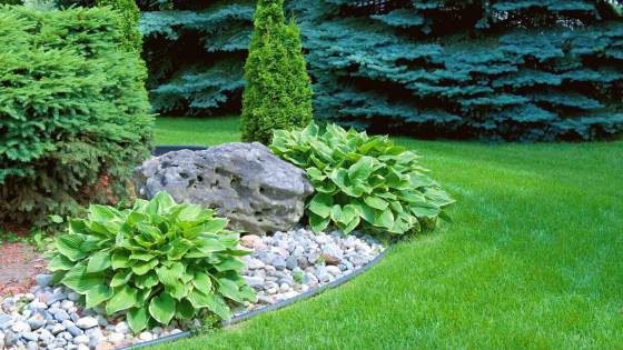 If you aren't able to spend much time keeping your landscaping looking great, these plants will be life savers.